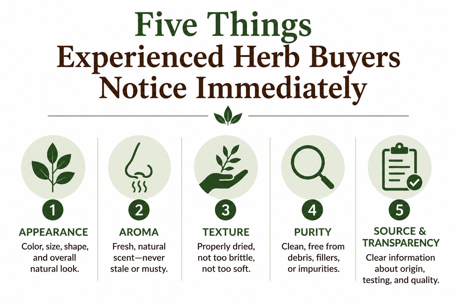 What to look for when purchasing herbs.   5 things to look for using your senses