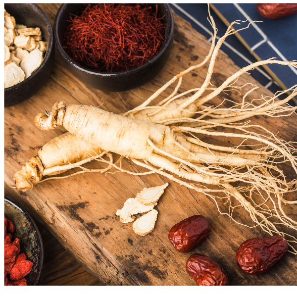 ginseng root 