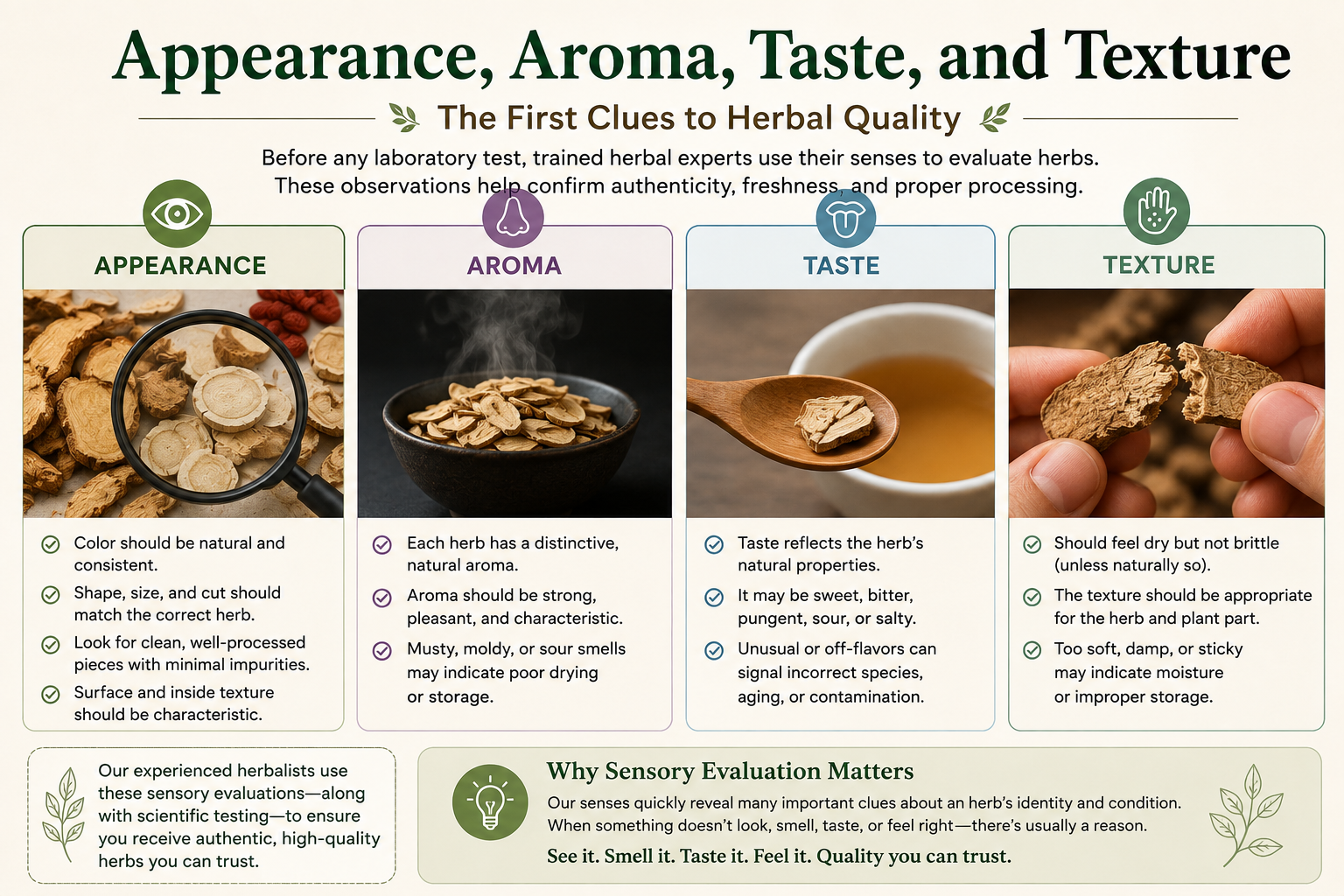 What are the first signs to look for when wanting quality herbs Infographic on why appearance, aroma taste and texture are important to quality herbs