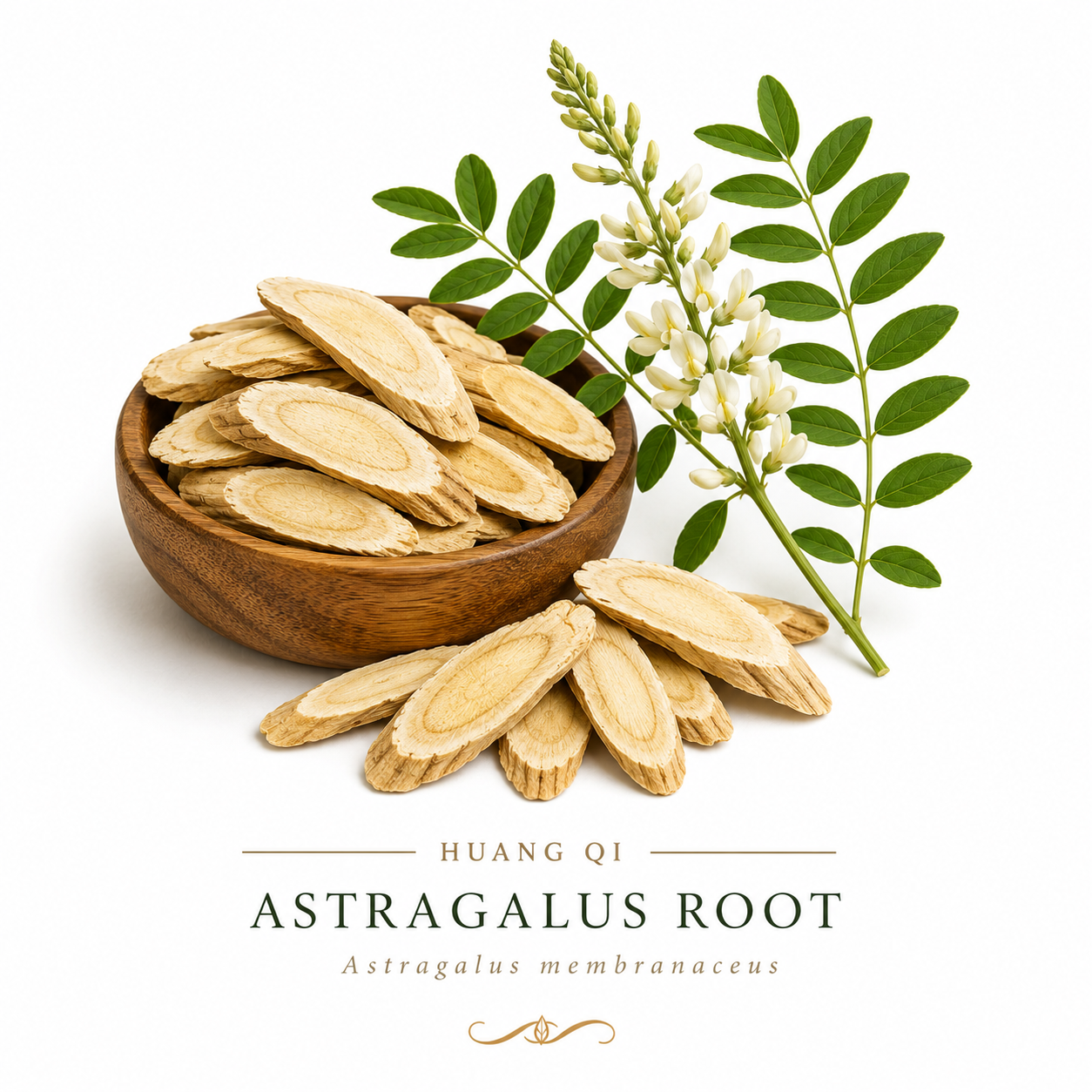 How to use astragalus root for winter comfort Astragalus root sliced in a wooden bowl