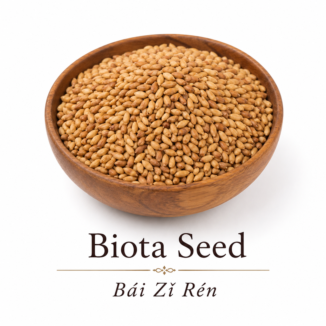 Elegant bowl of Biota seed, also known as Bai Zi Ren, showing the size of the seeds