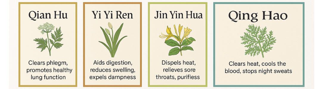 understand herbs