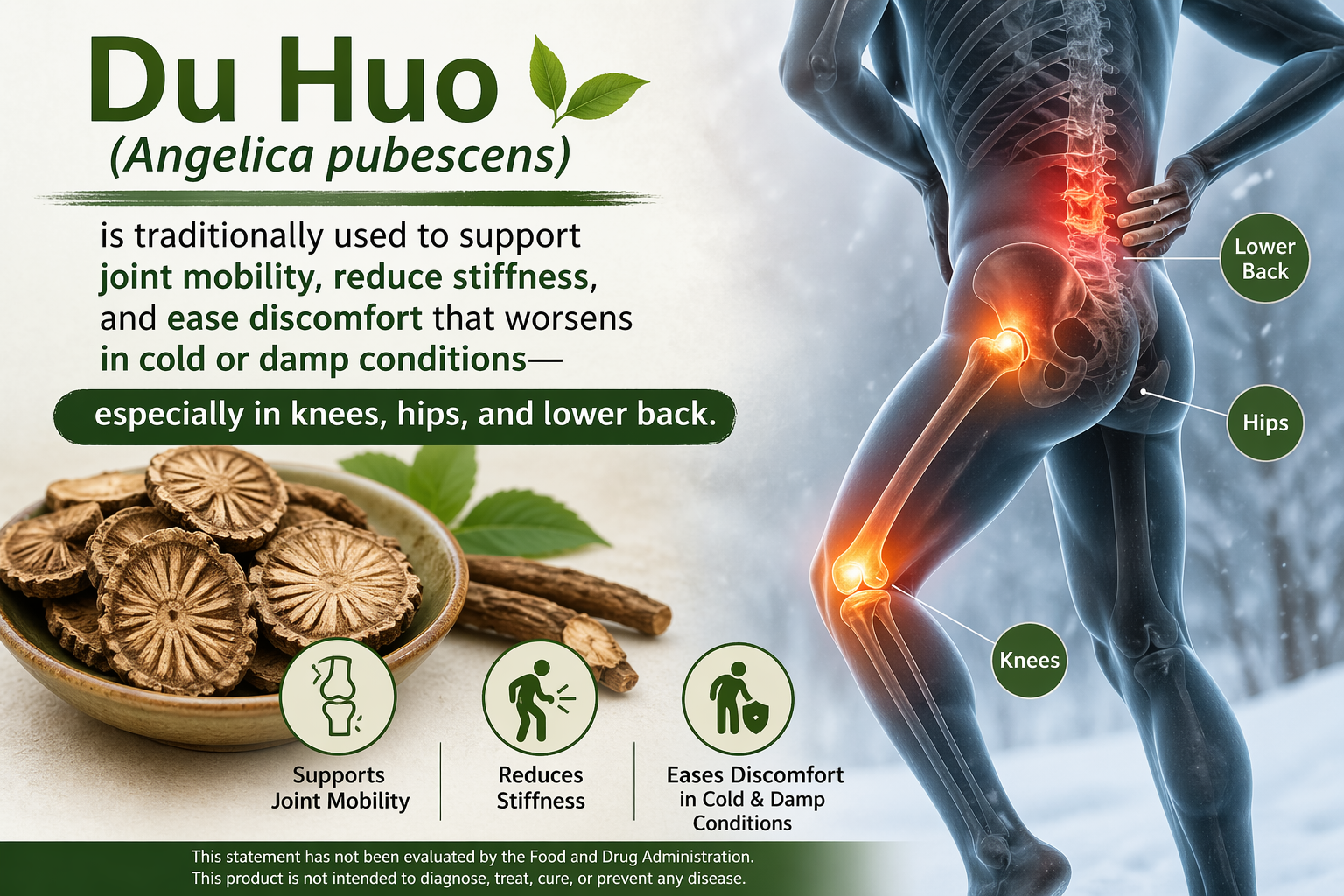 du huo and joint inflammation