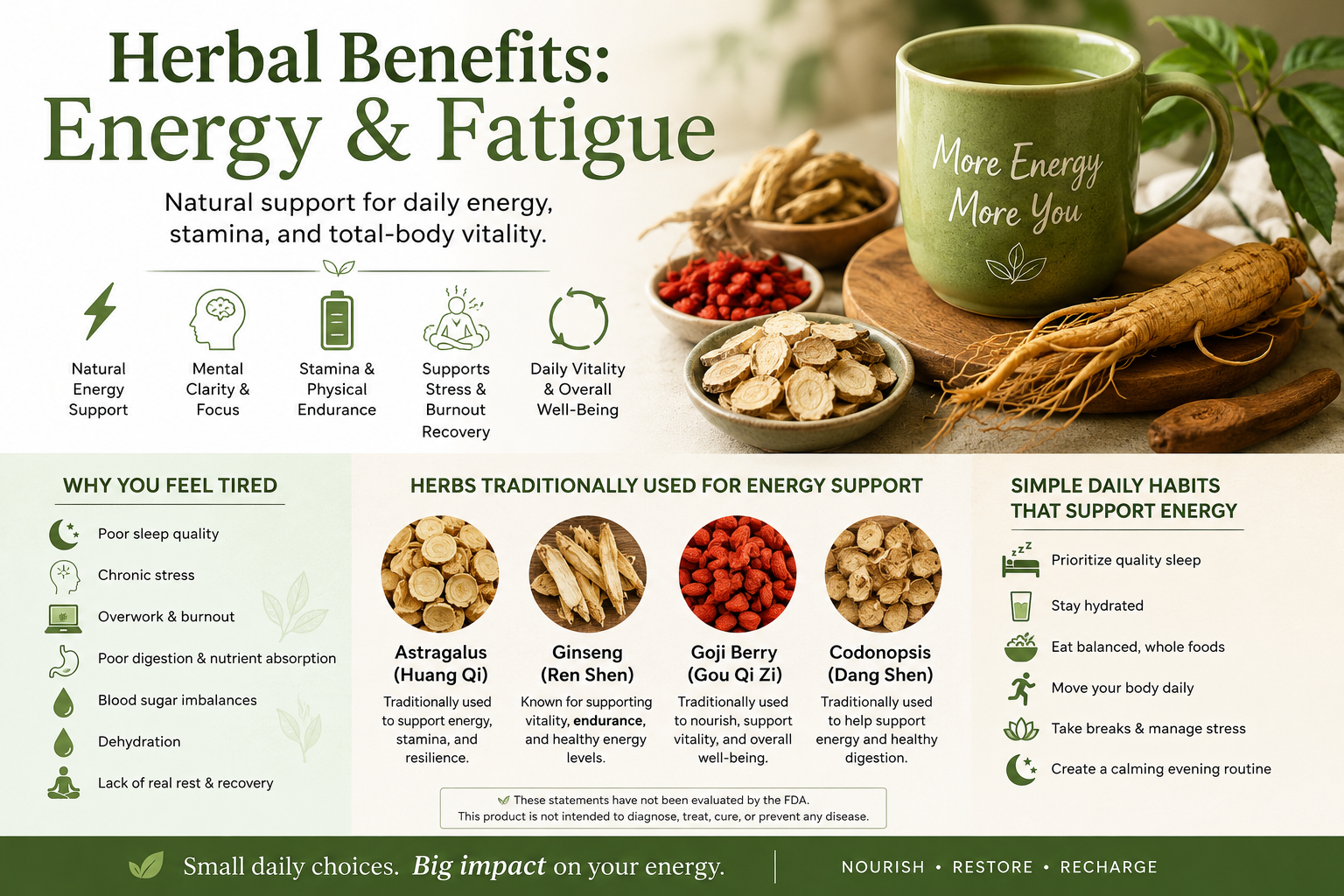 Understanding why we are fatigued. what is fatigue? how to get more energy.