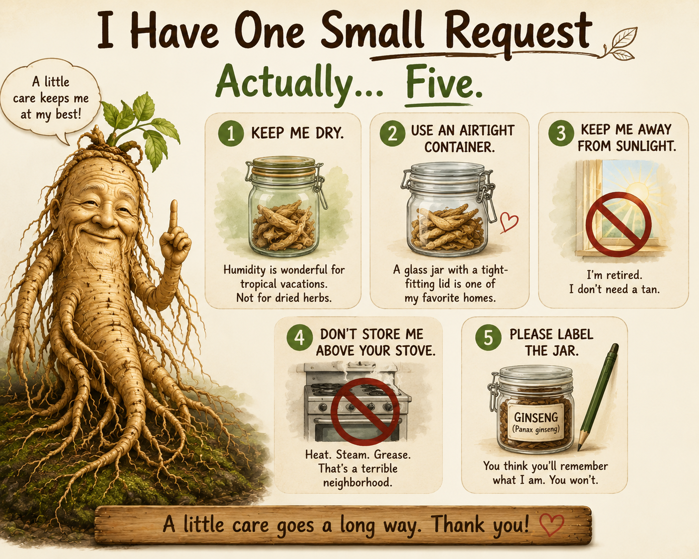 A whimsical illustration of a wise old ginseng root sharing five humorous but practical tips for properly storing dried herbs, including keeping them dry, using an airtight container, protecting them from sunlight, avoiding heat, and labeling storage jars. This educational graphic reminds herb lovers that a little care goes a long way in preserving the quality, aroma, and character of their favorite botanicals.