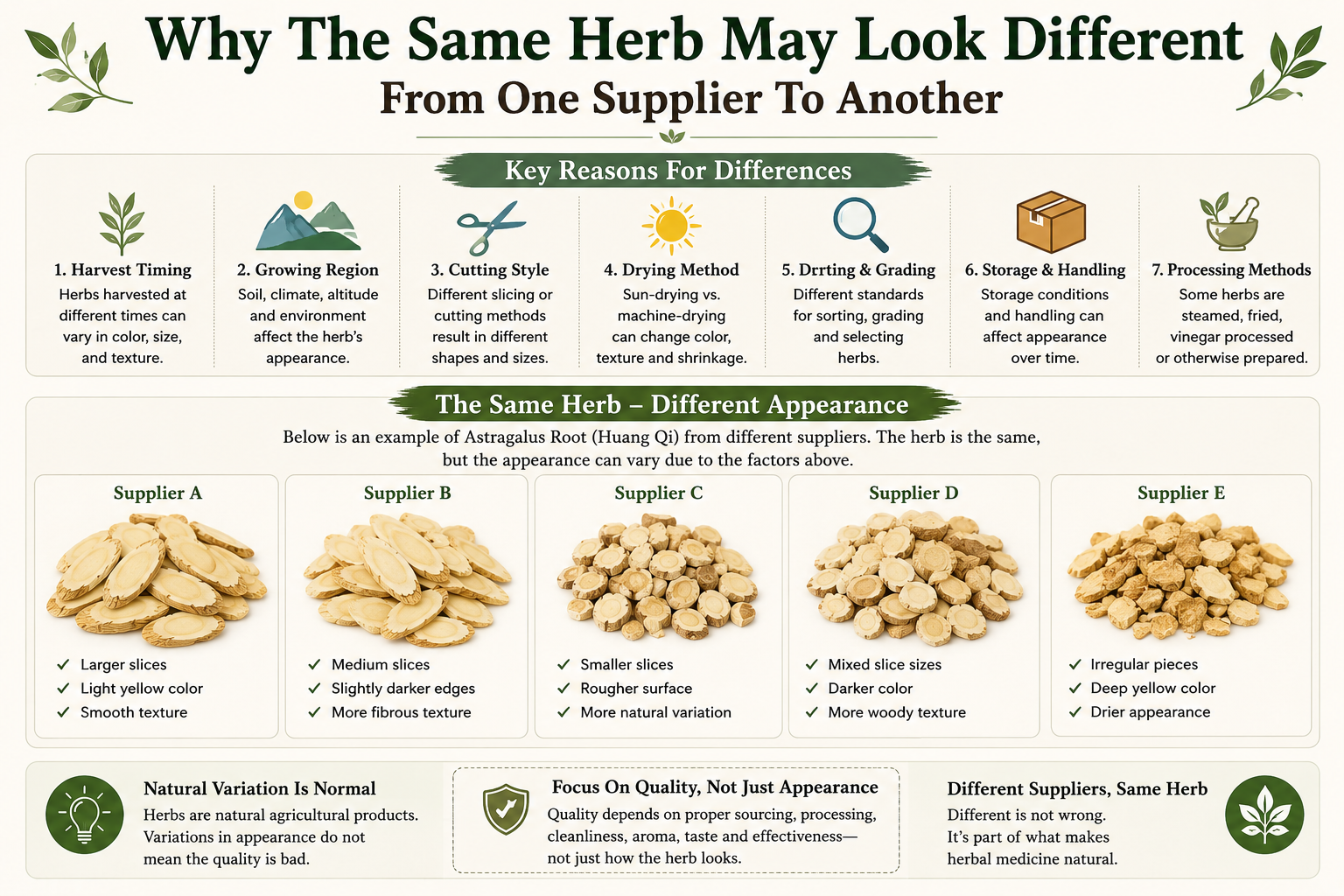 Educational infographic explaining why the same Chinese herb may look different from one supplier to another. The graphic compares Astragalus Root (Huang Qi) from multiple suppliers and explains how harvest timing, growing region, slicing style, drying methods, sorting, storage, and traditional processing can affect herb appearance, texture, color, and cut size while still being the same herb.