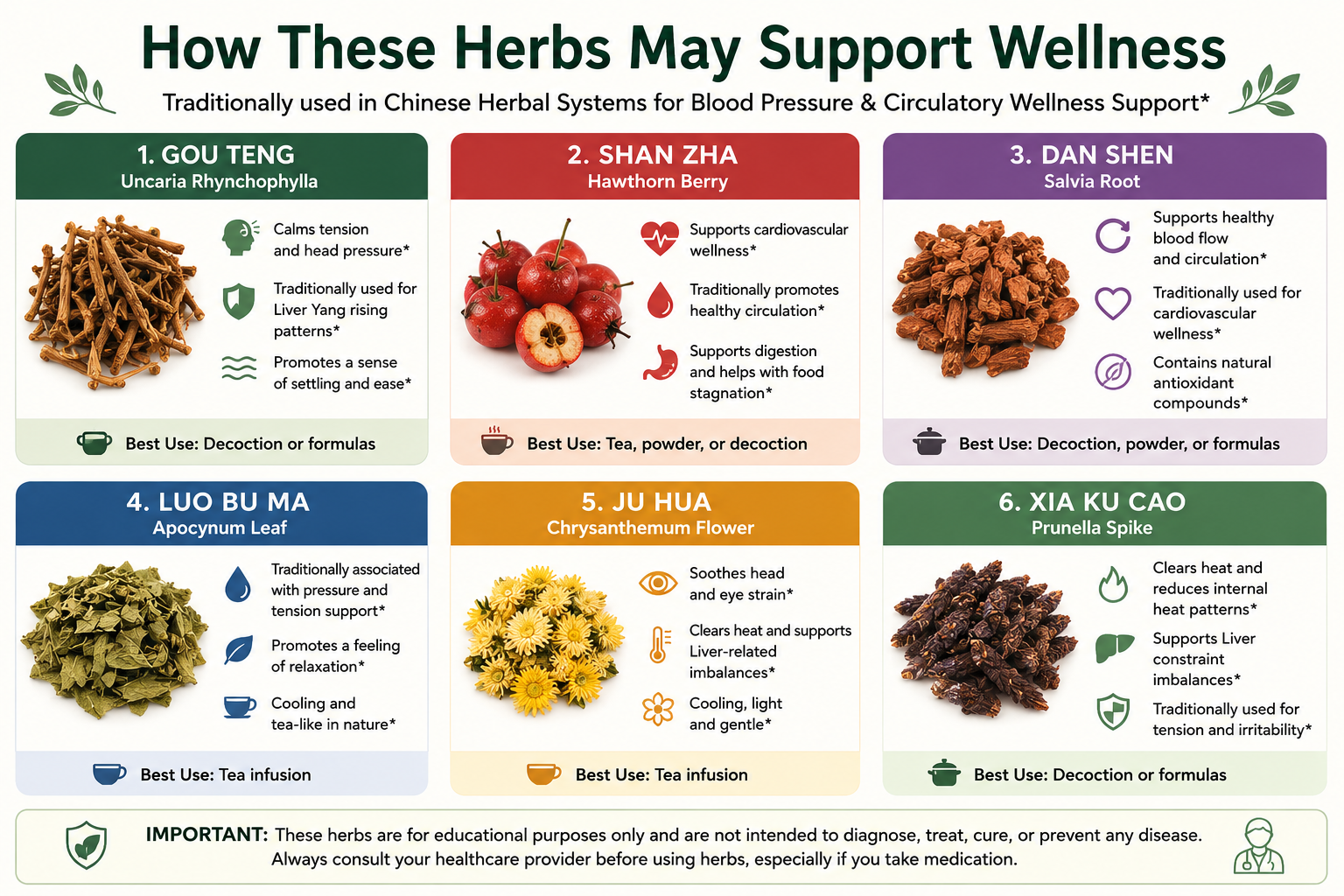 Infographic show how herbs support different wellness issues