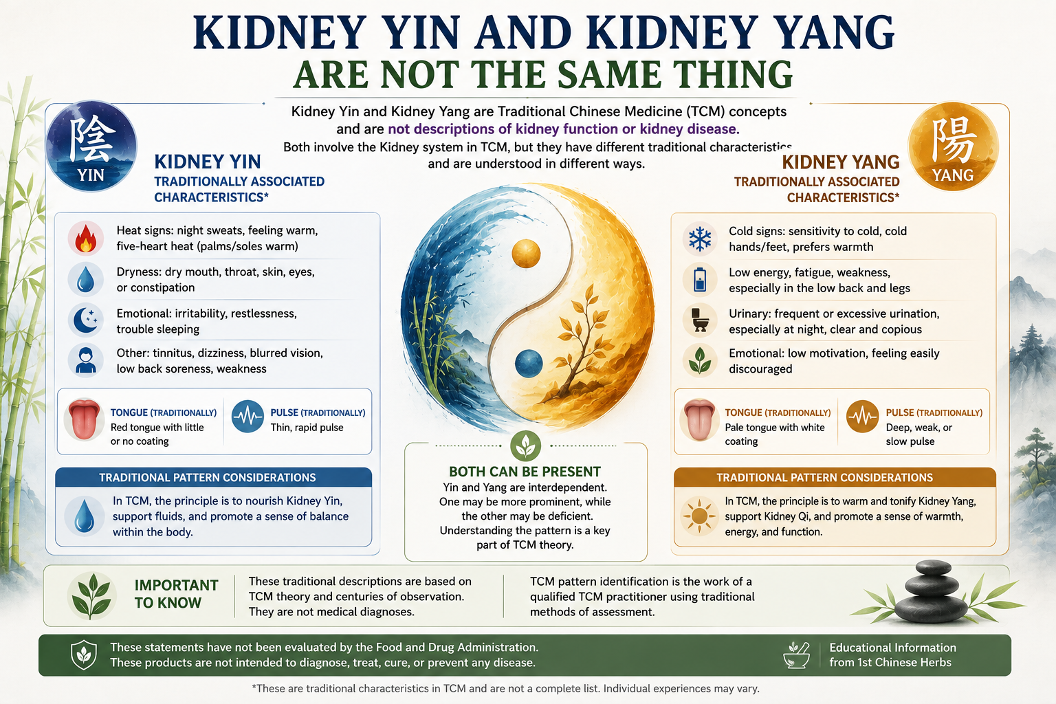 Kidney Yin vs Kidney Yang deficiency comparison in Traditional Chinese Medicine showing traditional signs and TCM pattern differences