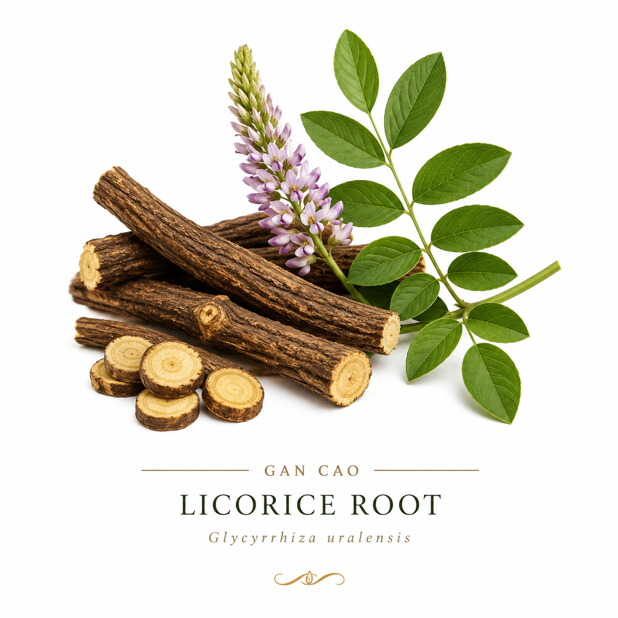 Licorice root, in cut form, and showing the leaf