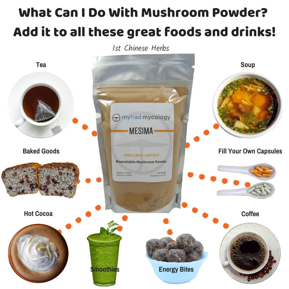 How to use medicinal mushroom powders.