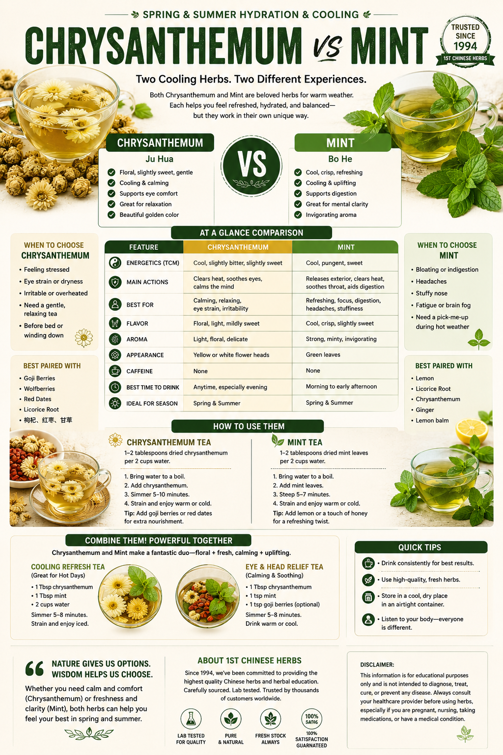 Infographic on chrysanthemum and mint, and how to use them