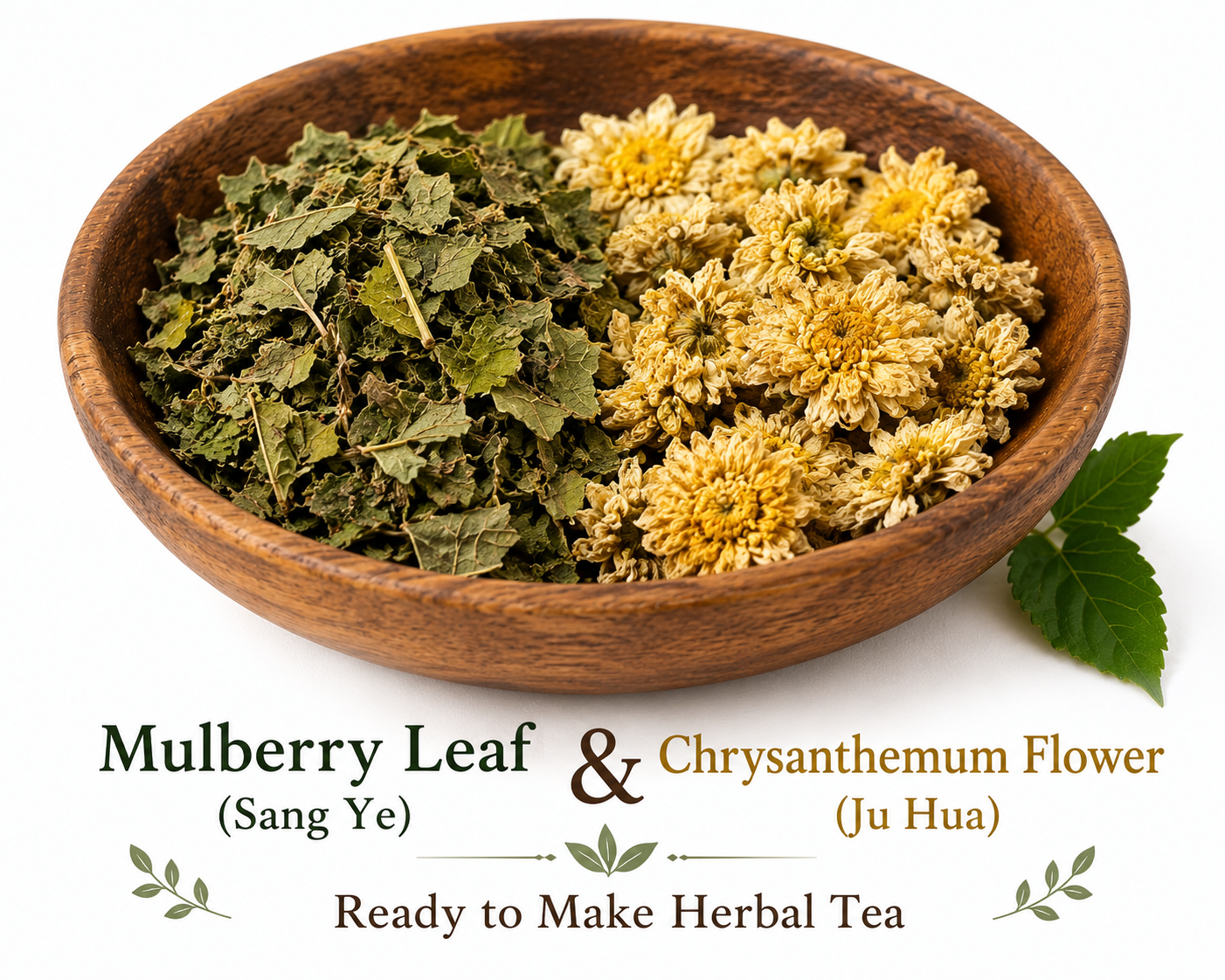 Sang Ye (mulberry leaf) and Ju Hua (chrysanthemum flower) displayed together as a simple beginner-friendly Chinese herbal tea pairing. This combination shows two traditional dried botanical ingredients&mdash;mulberry leaves and chrysanthemum flowers&mdash;before steeping in hot water.  SEO Filename: