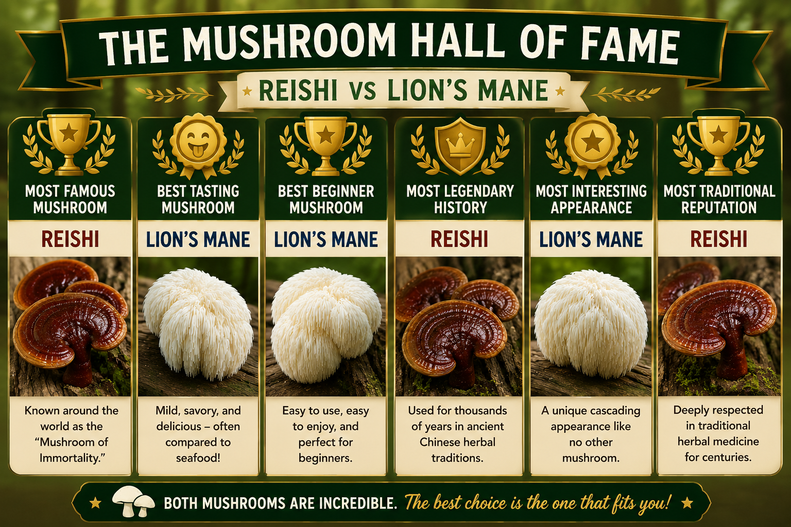 The hall of fame mushroom who wins in each category Reishi mushroom vs lions mane mushroom comparing the two mushrooms