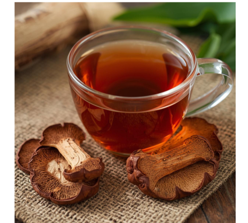 How to make reishi mushroom tea how to use reishi mushrooms