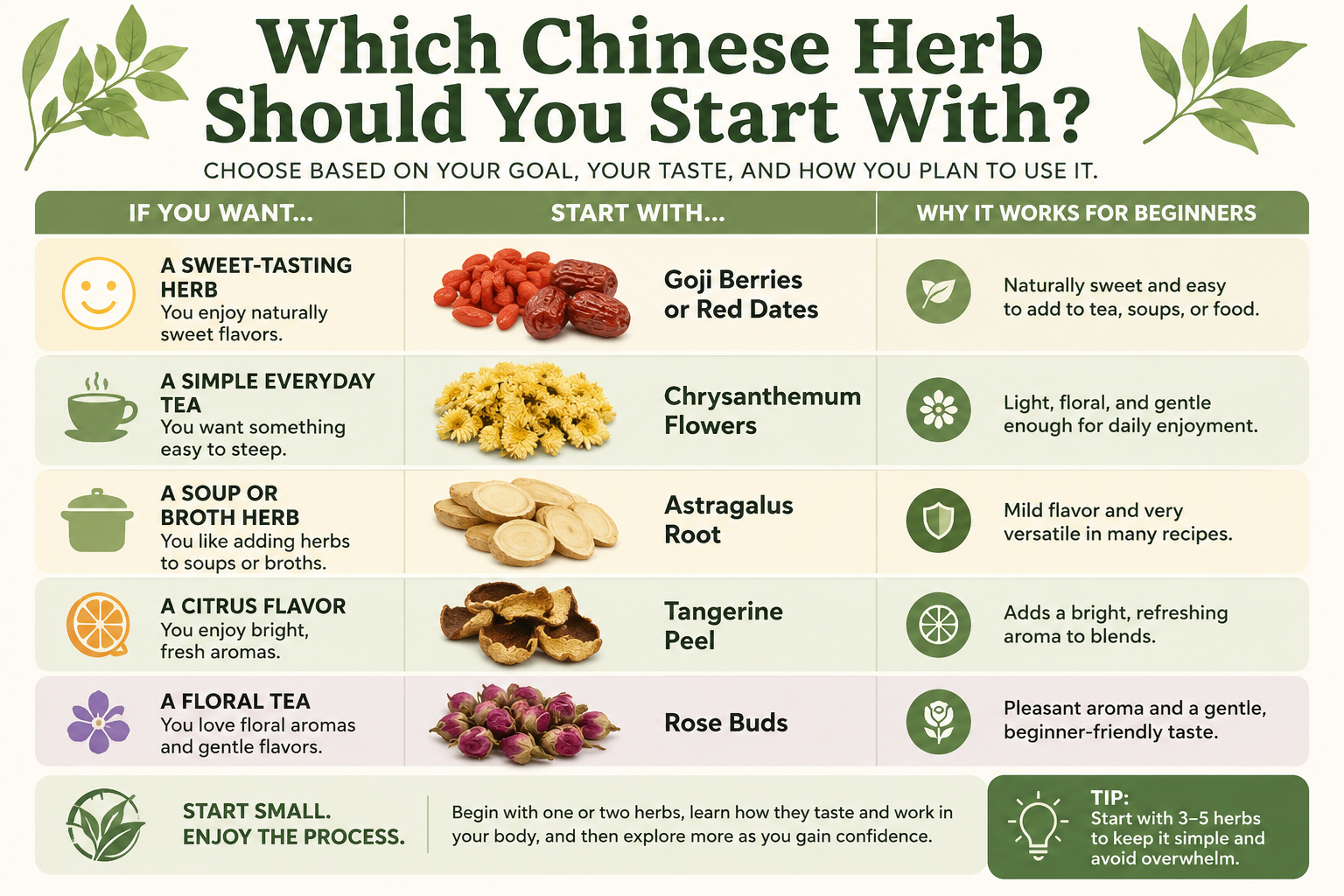 How to start using herbs, how to use them, and why they work Infographic of what herbs are the easiest to start off with and why