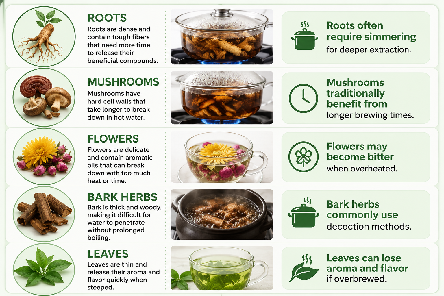 Traditional Chinese herbs displayed with brewing preparation guidance showing roots, mushrooms, flowers, bark, and leaves alongside their ideal extraction methods for herbal tea and decoction preparation. Educational herbal wellness graphic explaining how brewing time and heat affect flavor, aroma, bitterness, and overall herbal experience.