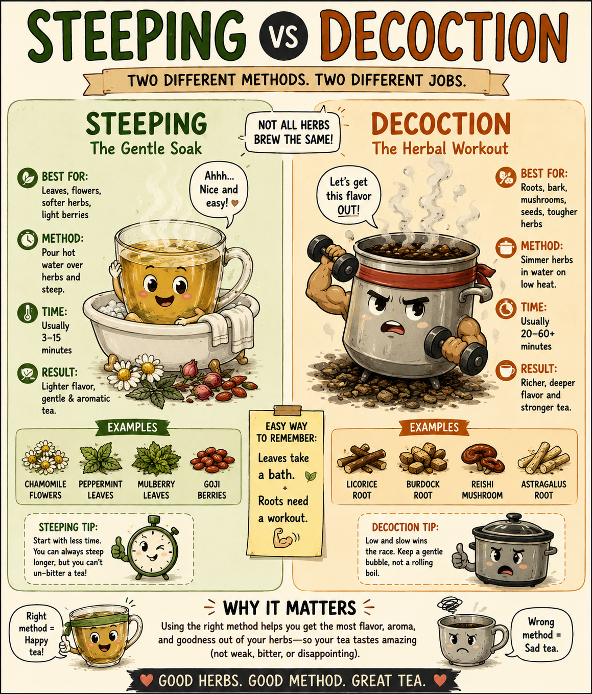 What is the difference between steeping and decoctions, and why it matters