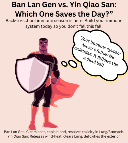 how to boost your immune system