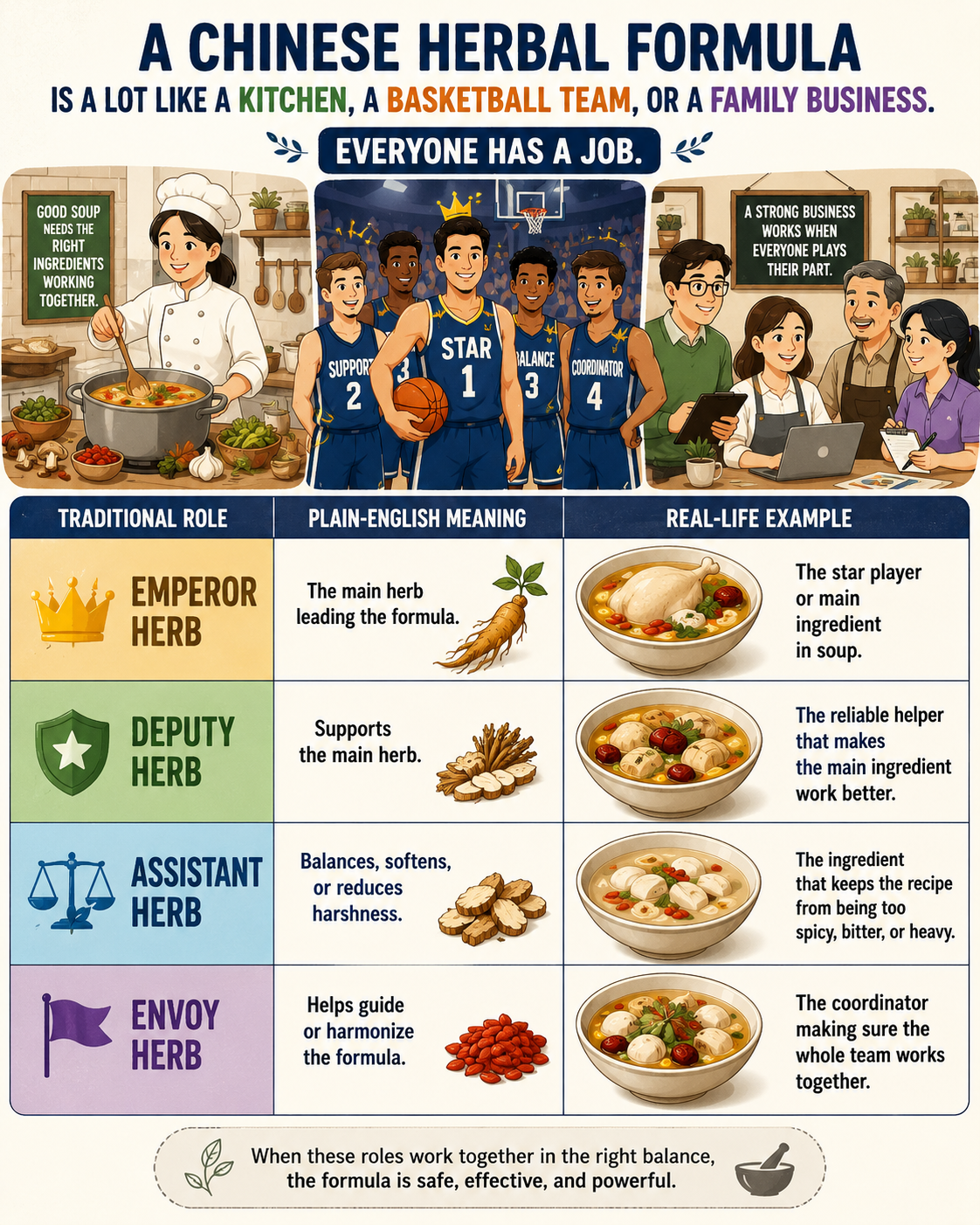 Educational infographic explaining the traditional roles within a Chinese herbal formula using easy-to-understand comparisons to a kitchen, basketball team, and family business, featuring Emperor, Deputy, Assistant, and Envoy herbs with colorful illustrations and beginner-friendly explanations.