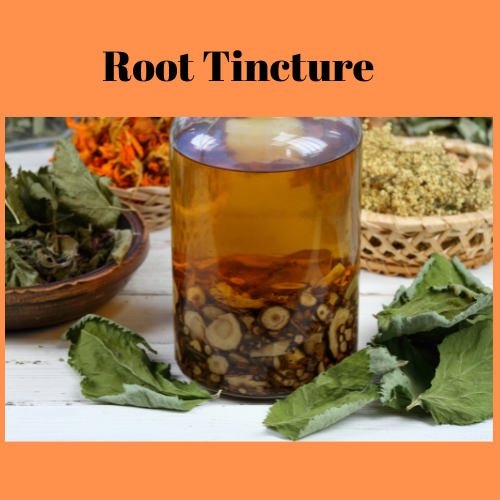 root tincture in dark glass bottle