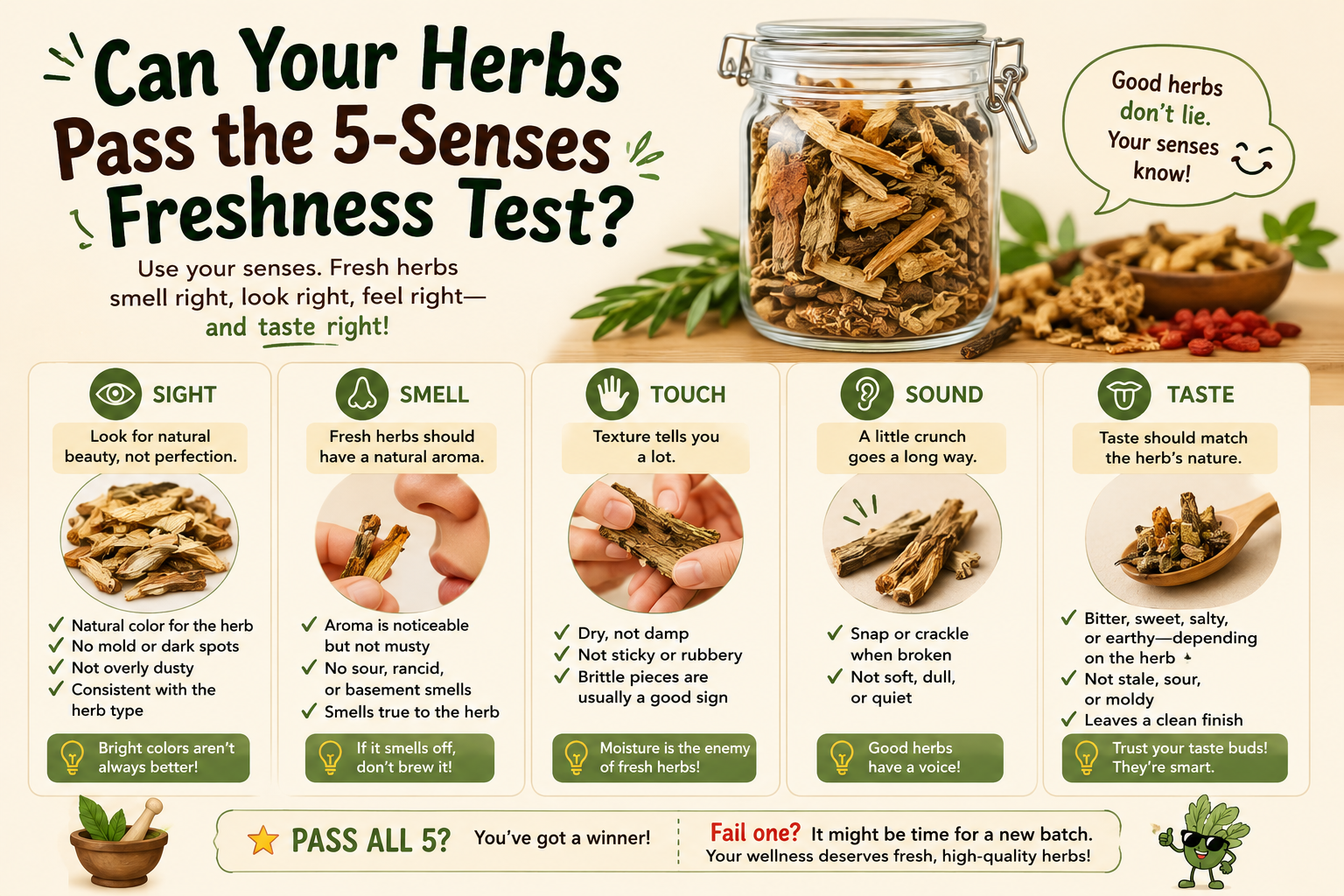 how to. use your 5 sense to ensure your herbs are fresh