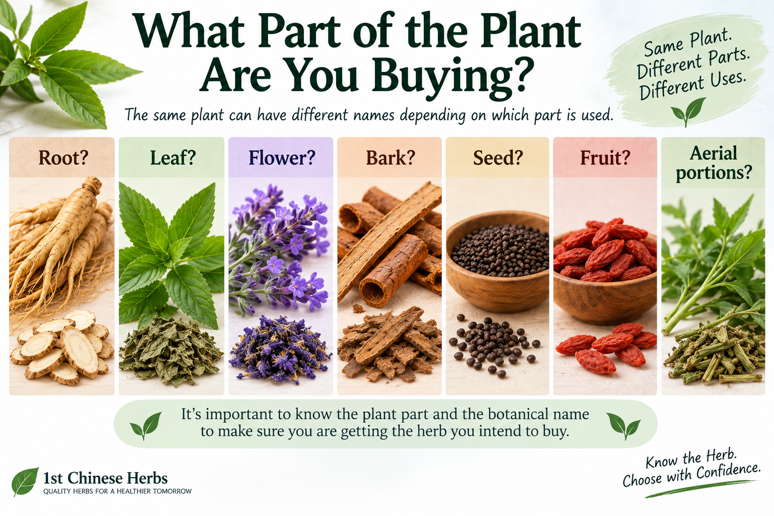 Herbal identification guide showing seven commonly used plant parts: root, leaf, flower, bark, seed, fruit, and aerial portions, emphasizing the importance of checking both the plant part and botanical name when purchasing herbs.