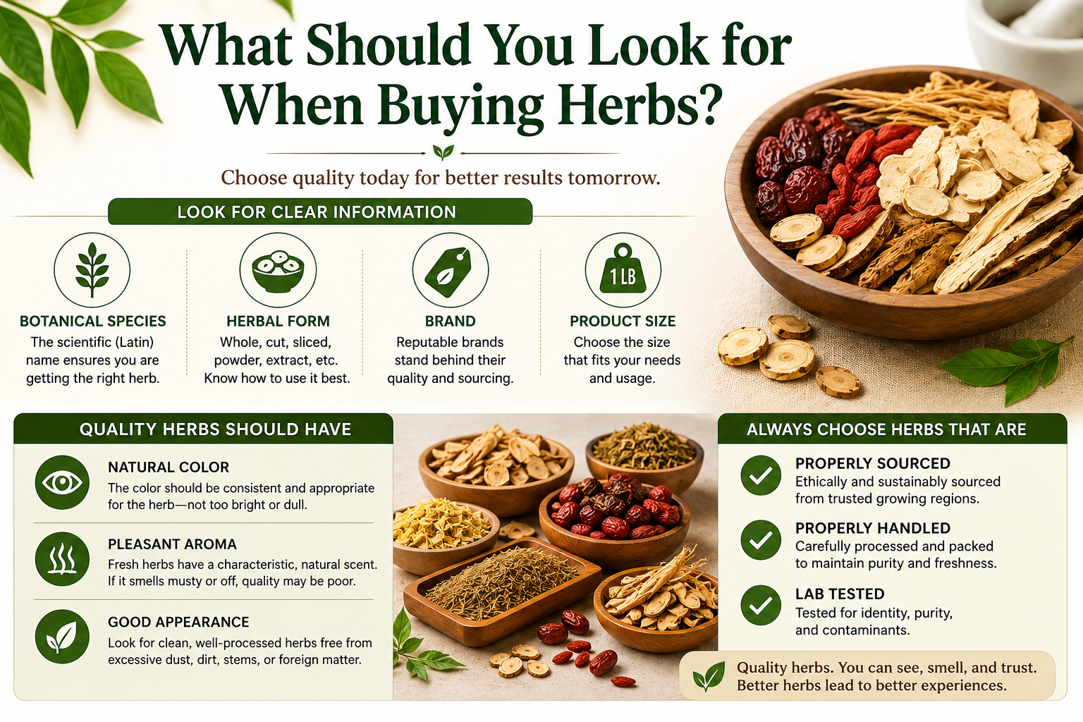 What Should You Look for When Buying Chinese Herbs? How to choose quality Chinese herbs by checking botanical species, herbal form, natural color, aroma, sourcing, handling, and lab testing.