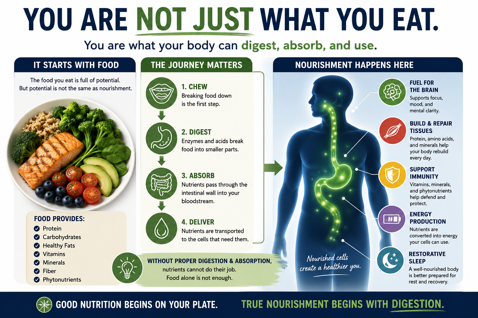 You are not just what you eat. You are what your body can digest, absorb, and use.