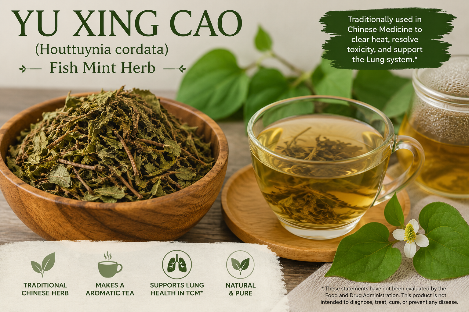 Infographic of yu xing cao in a bowl and how to use it as a tea